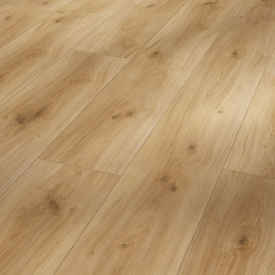 Ламінат Parador Basic 600 V4 Дуб Горизонт натур 1593853 Ламінат Parador Basic 600 V4 Дуб Горизонт натур 1593853